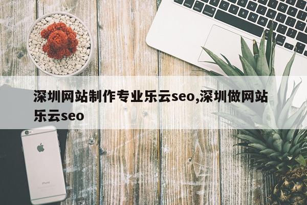 深圳网站制作专业乐云seo,深圳做网站 乐云seo