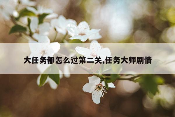 大任务都怎么过第二关,任务大师剧情