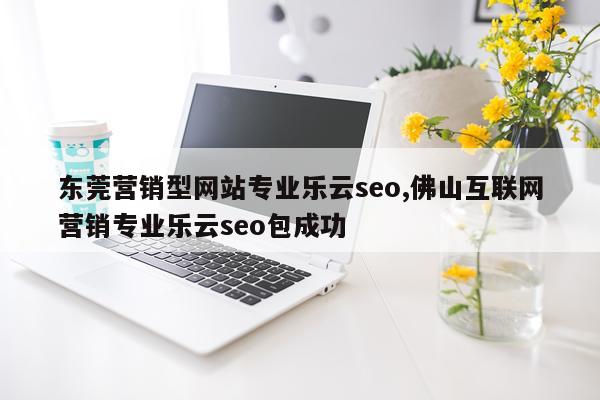 东莞营销型网站专业乐云seo,佛山互联网营销专业乐云seo包成功