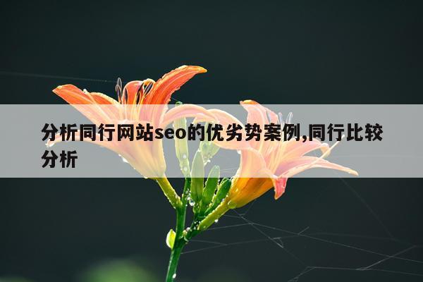 分析同行网站seo的优劣势案例,同行比较分析