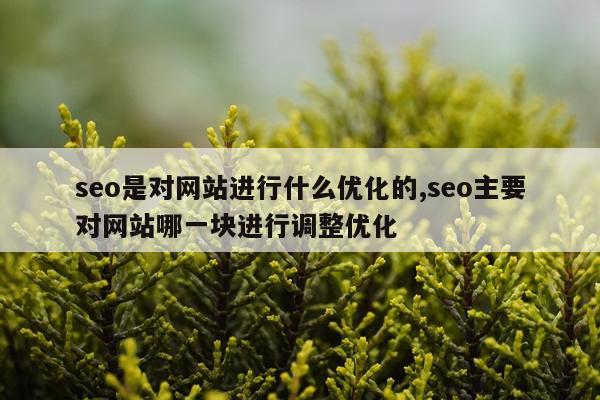 seo是对网站进行什么优化的,seo主要对网站哪一块进行调整优化