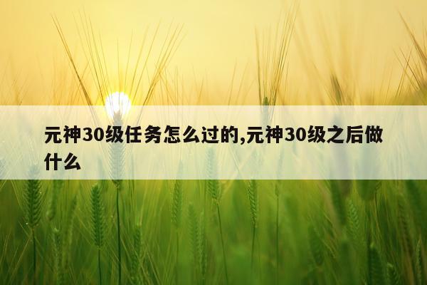 元神30级任务怎么过的,元神30级之后做什么