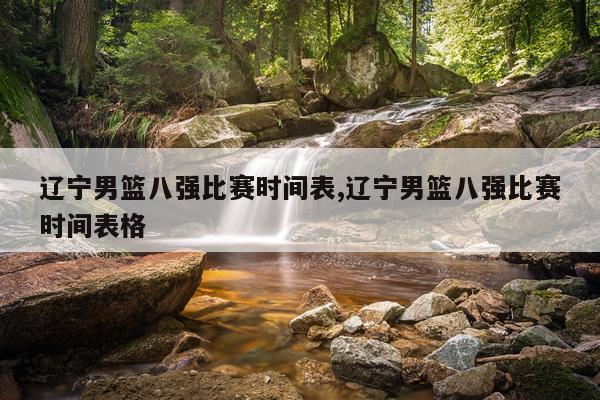 辽宁男篮八强比赛时间表,辽宁男篮八强比赛时间表格