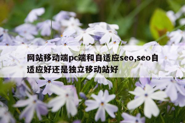 网站移动端pc端和自适应seo,seo自适应好还是独立移动站好