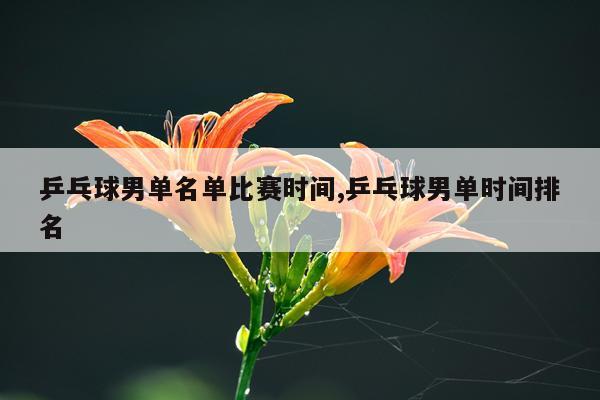 乒乓球男单名单比赛时间,乒乓球男单时间排名