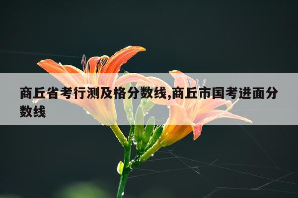 商丘省考行测及格分数线,商丘市国考进面分数线