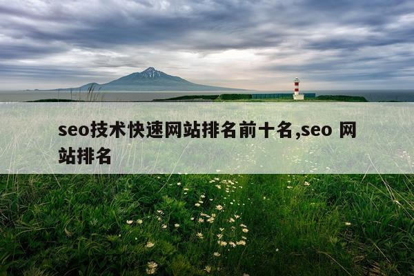 seo技术快速网站排名前十名,seo 网站排名