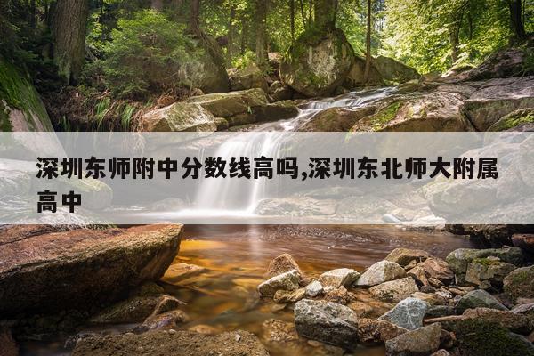 深圳东师附中分数线高吗,深圳东北师大附属高中
