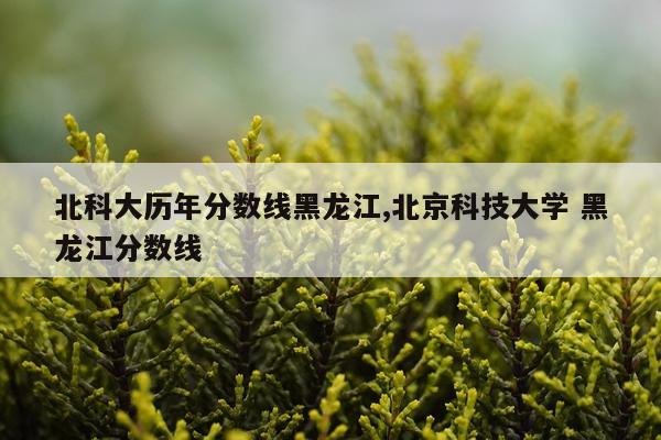 北科大历年分数线黑龙江,北京科技大学 黑龙江分数线