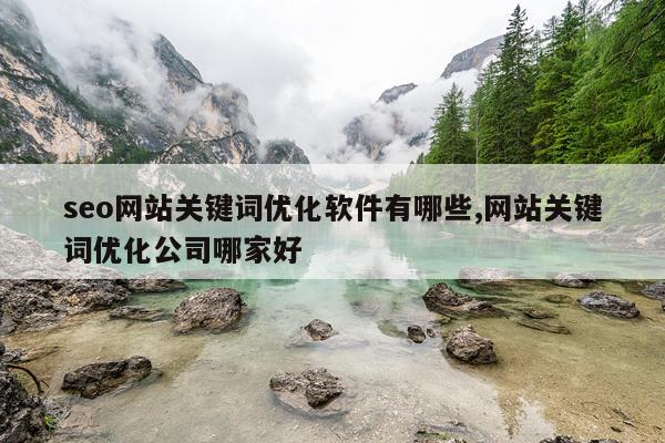 seo网站关键词优化软件有哪些,网站关键词优化公司哪家好
