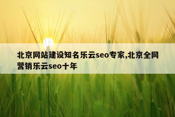 北京网站建设知名乐云seo专家,北京全网营销乐云seo十年