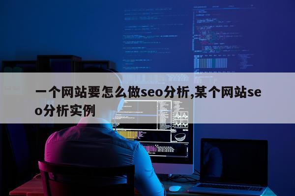 一个网站要怎么做seo分析,某个网站seo分析实例