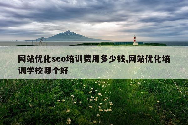 网站优化seo培训费用多少钱,网站优化培训学校哪个好