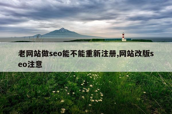 老网站做seo能不能重新注册,网站改版seo注意