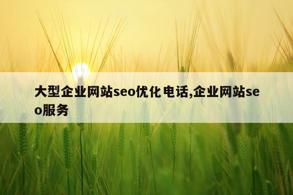 大型企业网站seo优化电话,企业网站seo服务