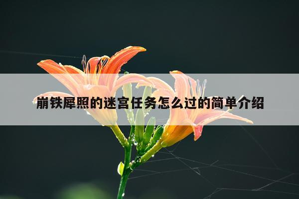 崩铁犀照的迷宫任务怎么过的简单介绍