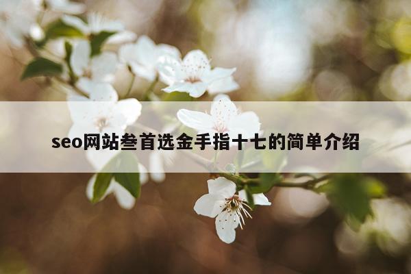 seo网站叁首选金手指十七的简单介绍