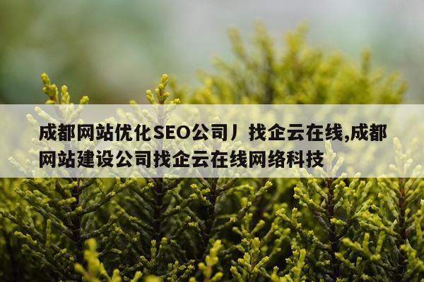 成都网站优化SEO公司丿找企云在线,成都网站建设公司找企云在线网络科技