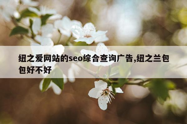纽之爱网站的seo综合查询广告,纽之兰包包好不好
