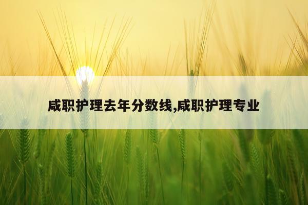 咸职护理去年分数线,咸职护理专业