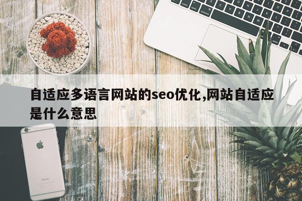 自适应多语言网站的seo优化,网站自适应是什么意思