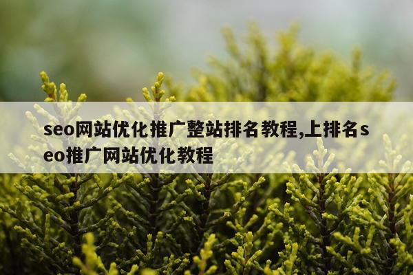 seo网站优化推广整站排名教程,上排名seo推广网站优化教程