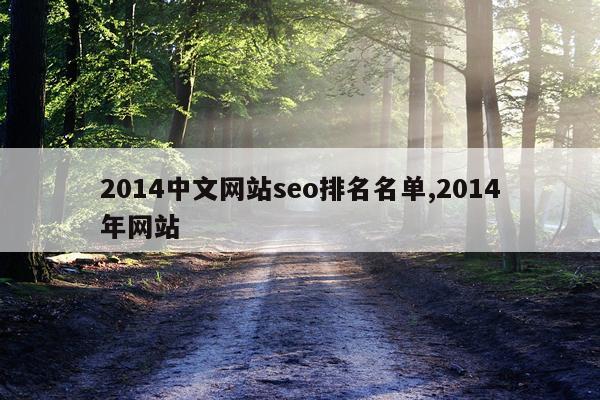 2014中文网站seo排名名单,2014年网站