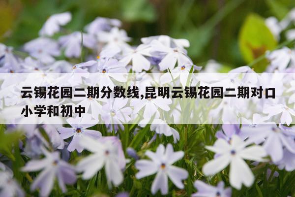 云锡花园二期分数线,昆明云锡花园二期对口小学和初中