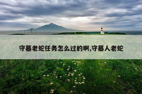 守墓老蛇任务怎么过的啊,守墓人老蛇
