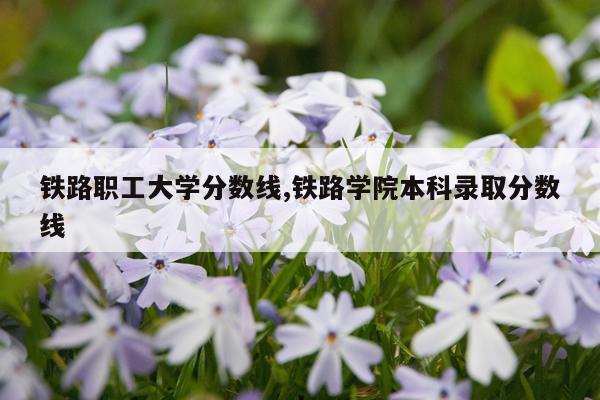 铁路职工大学分数线,铁路学院本科录取分数线