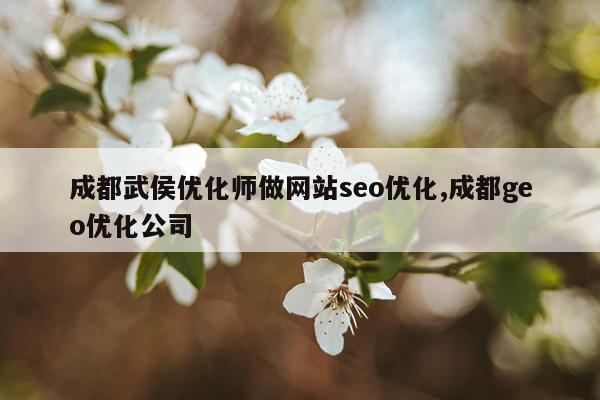 成都武侯优化师做网站seo优化,成都geo优化公司