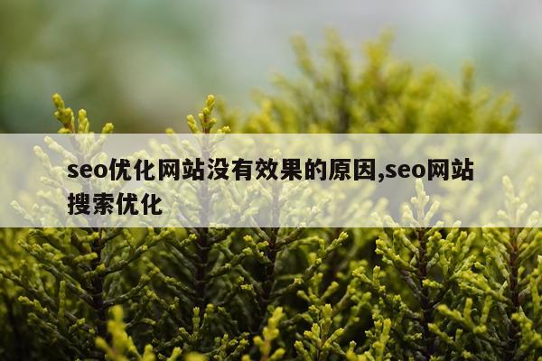 seo优化网站没有效果的原因,seo网站搜索优化