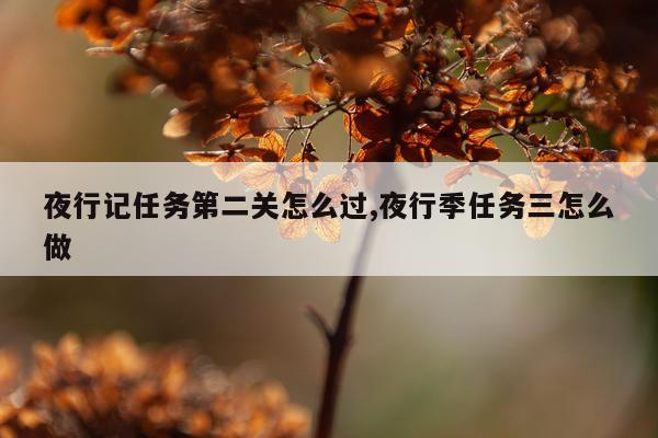 夜行记任务第二关怎么过,夜行季任务三怎么做