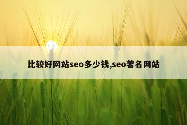比较好网站seo多少钱,seo著名网站