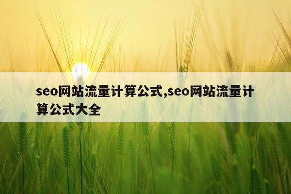 seo网站流量计算公式,seo网站流量计算公式大全
