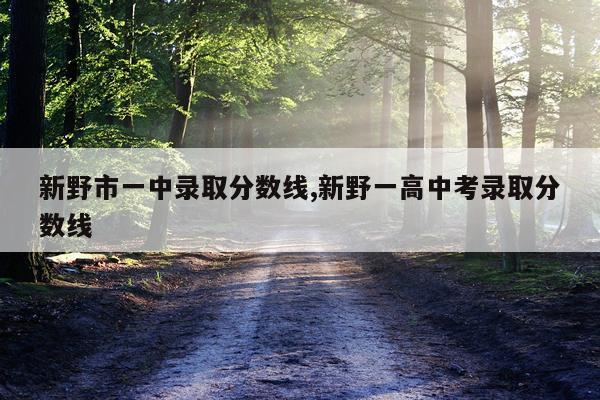 新野市一中录取分数线,新野一高中考录取分数线