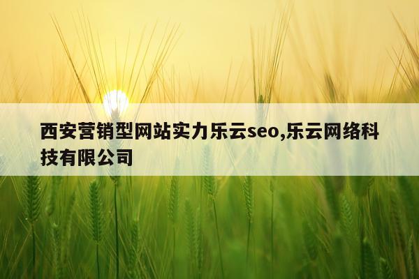 西安营销型网站实力乐云seo,乐云网络科技有限公司