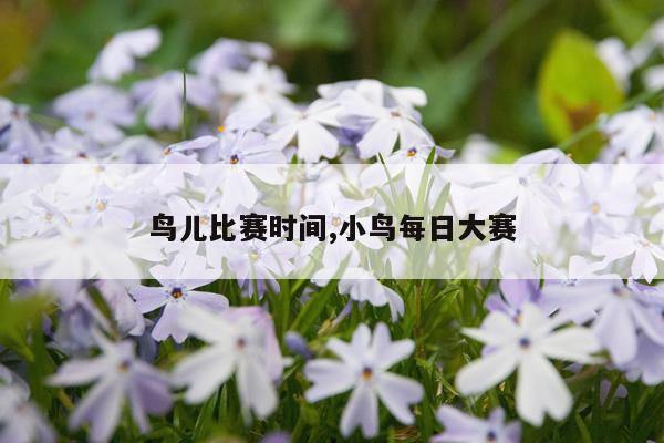 鸟儿比赛时间,小鸟每日大赛