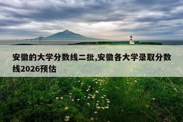 安徽的大学分数线二批,安徽各大学录取分数线2026预估