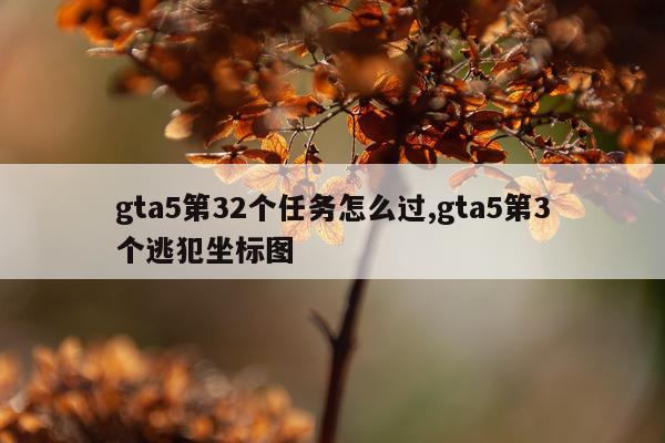 gta5第32个任务怎么过,gta5第3个逃犯坐标图