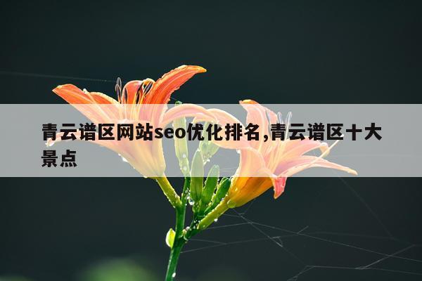 青云谱区网站seo优化排名,青云谱区十大景点