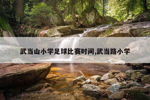 武当山小学足球比赛时间,武当路小学