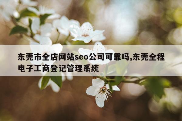 东莞市全店网站seo公司可靠吗,东莞全程电子工商登记管理系统