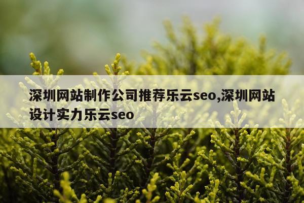 深圳网站制作公司推荐乐云seo,深圳网站设计实力乐云seo