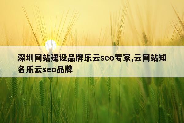 深圳网站建设品牌乐云seo专家,云网站知名乐云seo品牌