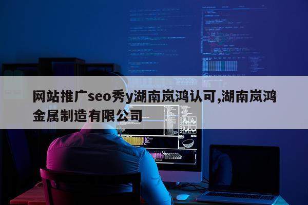 网站推广seo秀y湖南岚鸿认可,湖南岚鸿金属制造有限公司