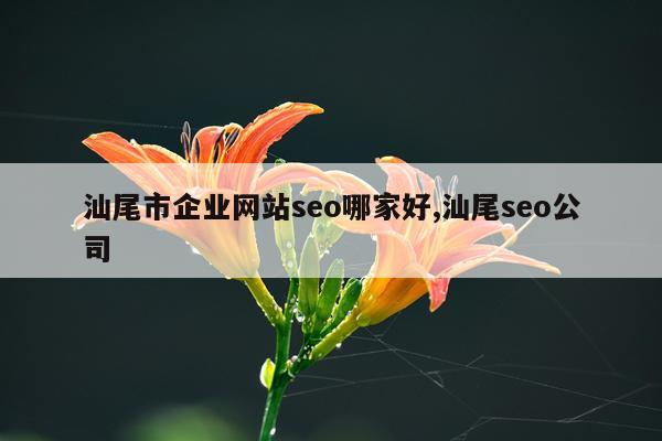 汕尾市企业网站seo哪家好,汕尾seo公司