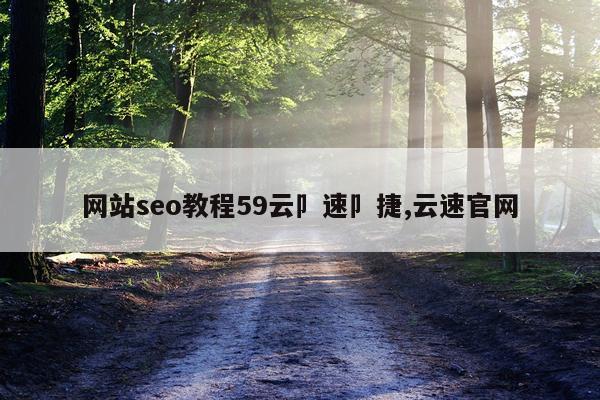 网站seo教程59云卩速卩捷,云速官网