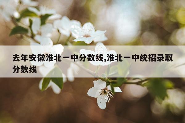 去年安徽淮北一中分数线,淮北一中统招录取分数线