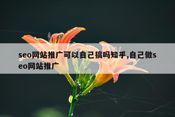 seo网站推广可以自己搞吗知乎,自己做seo网站推广